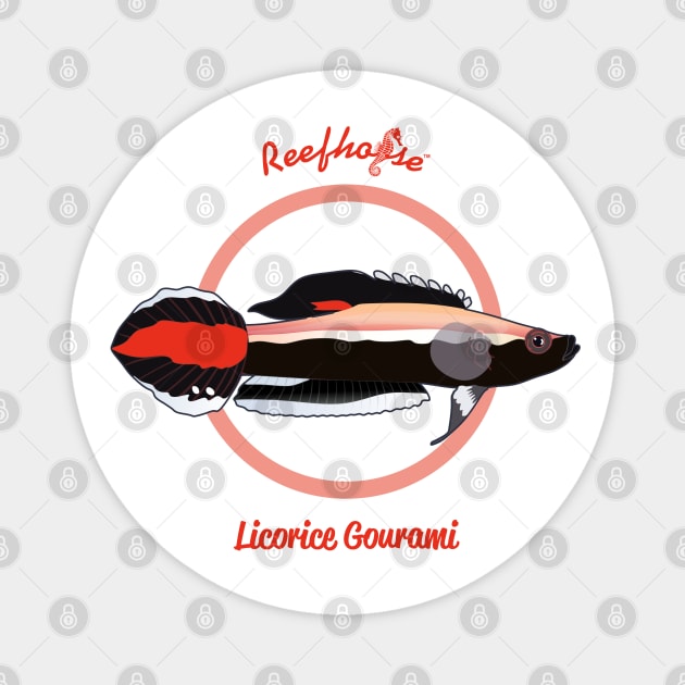 Licorice Gourami Magnet by Reefhorse